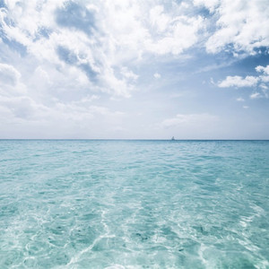 jizzjiz熟丰满老妇日本
