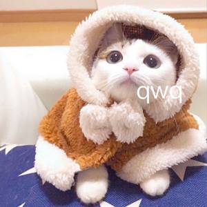 jizzjiz熟丰满老妇日本
